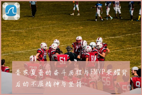 香农夏普的奋斗历程与FMVP荣耀背后的不屈精神与坚持